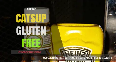 Is Heinz Catsup Gluten-Free? A Complete Guide for Celiac Sufferers