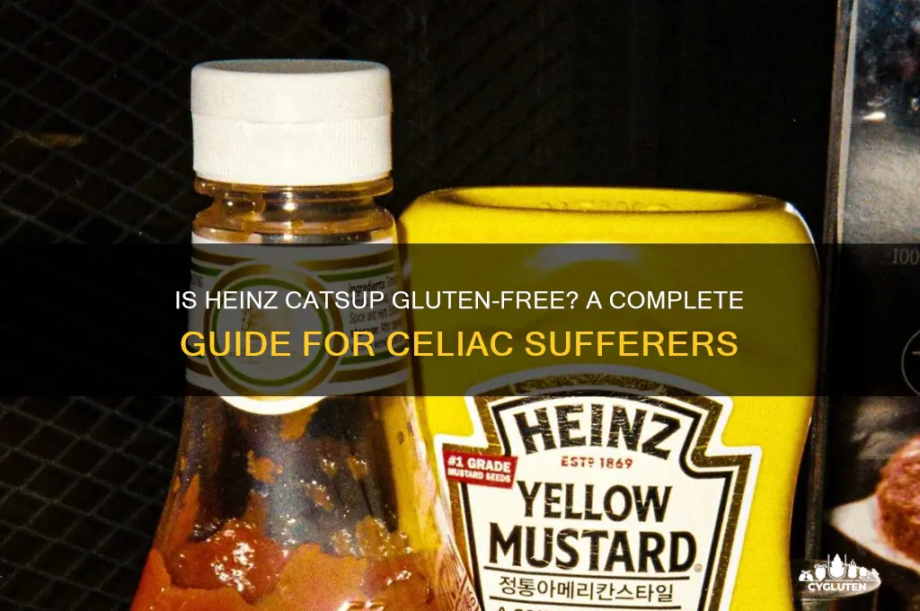is heinz catsup gluten free