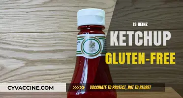 Is Heinz Ketchup Gluten-Free? A Complete Guide for Celiac Diets