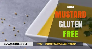 Is Heinz Mustard Gluten-Free? A Complete Guide for Celiac Diets