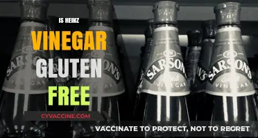 Is Heinz Vinegar Gluten-Free? A Clear Answer for Celiac Diets