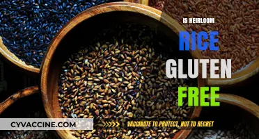 Is Heirloom Rice Gluten-Free? A Complete Guide for Celiac Diets