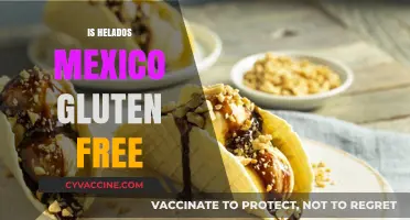 Are Helados Mexico Gluten-Free? A Complete Guide for Ice Cream Lovers