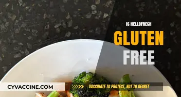Is HelloFresh Gluten-Free? Exploring Meal Kit Options for Celiac Diets