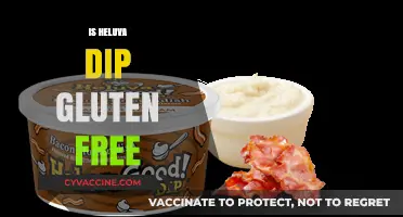 Is Heluva Good! Dip Gluten-Free? A Complete Guide