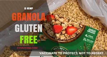 Is Hemp Granola Gluten-Free? A Healthy Breakfast Option Explored