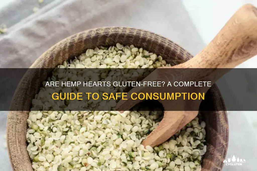 is hemp hearts gluten free