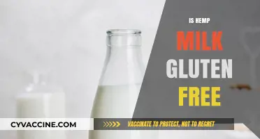 Is Hemp Milk Gluten-Free? A Comprehensive Guide for Dietary Needs