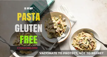 Is Hemp Pasta Gluten-Free? A Nutritious Alternative Explained