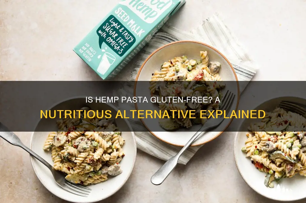 is hemp pasta gluten free