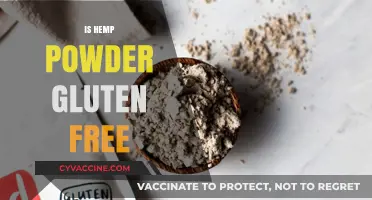 Is Hemp Powder Gluten-Free? A Comprehensive Guide for Dietary Needs