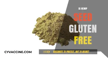 Is Hemp Seed Gluten-Free? Uncovering the Truth for Celiac Diets