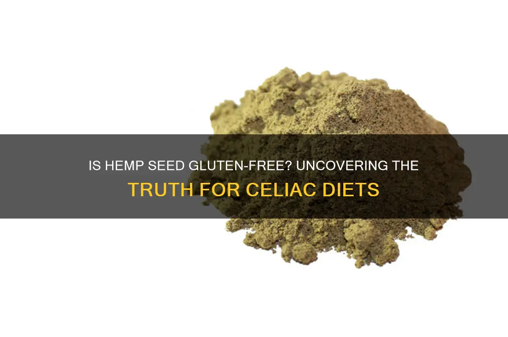 is hemp seed gluten free