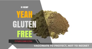 Is Hemp Yeah Gluten-Free? Uncovering the Truth for Celiac Diets