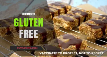 Is Hempseed Gluten-Free? Unraveling the Facts for a Healthy Diet