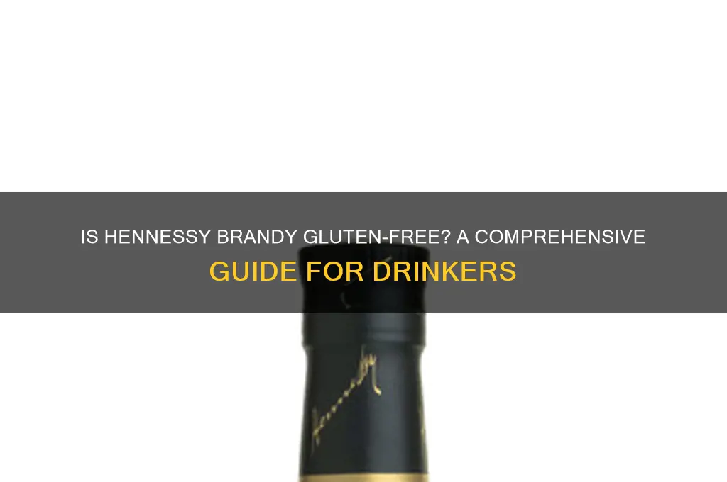 is hennessy brandy gluten free
