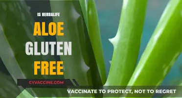 Is Herbalife Aloe Gluten-Free? A Comprehensive Guide for Consumers