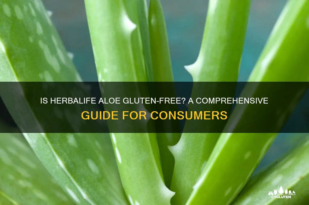is herbalife aloe gluten free