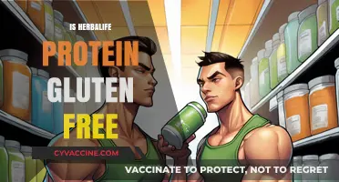 Is Herbalife Protein Gluten-Free? A Comprehensive Guide for Dieters