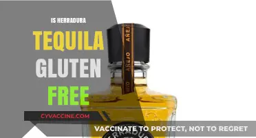 Is Herradura Tequila Gluten-Free? A Complete Guide for Tequila Lovers