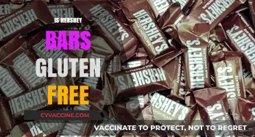 Are Hershey Bars Gluten-Free? A Complete Guide for Chocolate Lovers