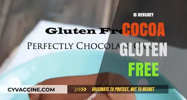Is Hershey Cocoa Gluten-Free? A Comprehensive Guide for Celiac Diets