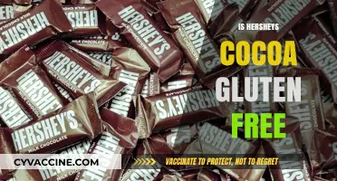 Is Hershey's Cocoa Gluten-Free? A Complete Guide for Chocolate Lovers