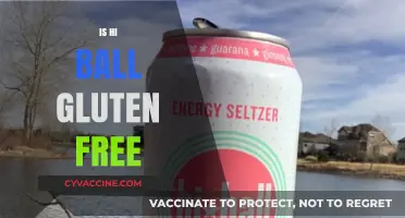 Is Hi-Ball Gluten-Free? A Comprehensive Guide to Your Favorite Drink