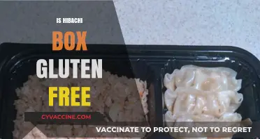 Is Hibachi Box Gluten-Free? A Complete Guide for Celiac Diners