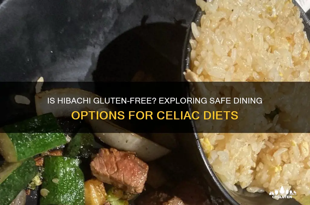 is hibachi gluten-free