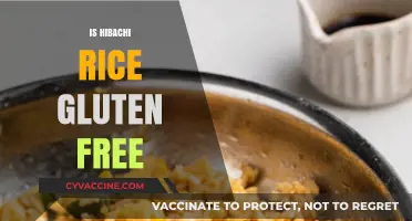 Is Hibachi Rice Gluten-Free? A Complete Guide for Celiac Diners
