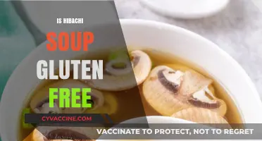 Is Hibachi Soup Gluten-Free? A Diet-Friendly Guide for Foodies
