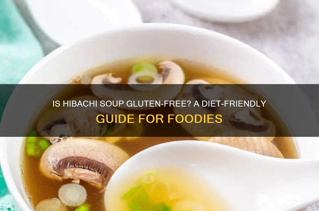 is hibachi soup gluten free