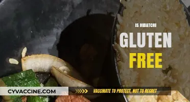 Is Hibachi Gluten-Free? Exploring Safe Dining Options for Celiac Diets