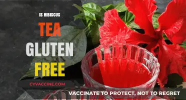 Is Hibiscus Tea Gluten-Free? A Complete Guide for Tea Lovers