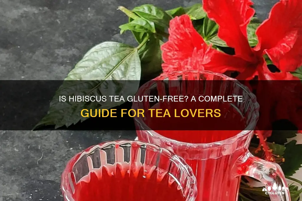 is hibiscus tea gluten free