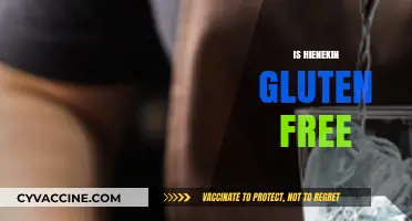 Is Heineken Gluten-Free? Exploring the Beer's Ingredients and Options