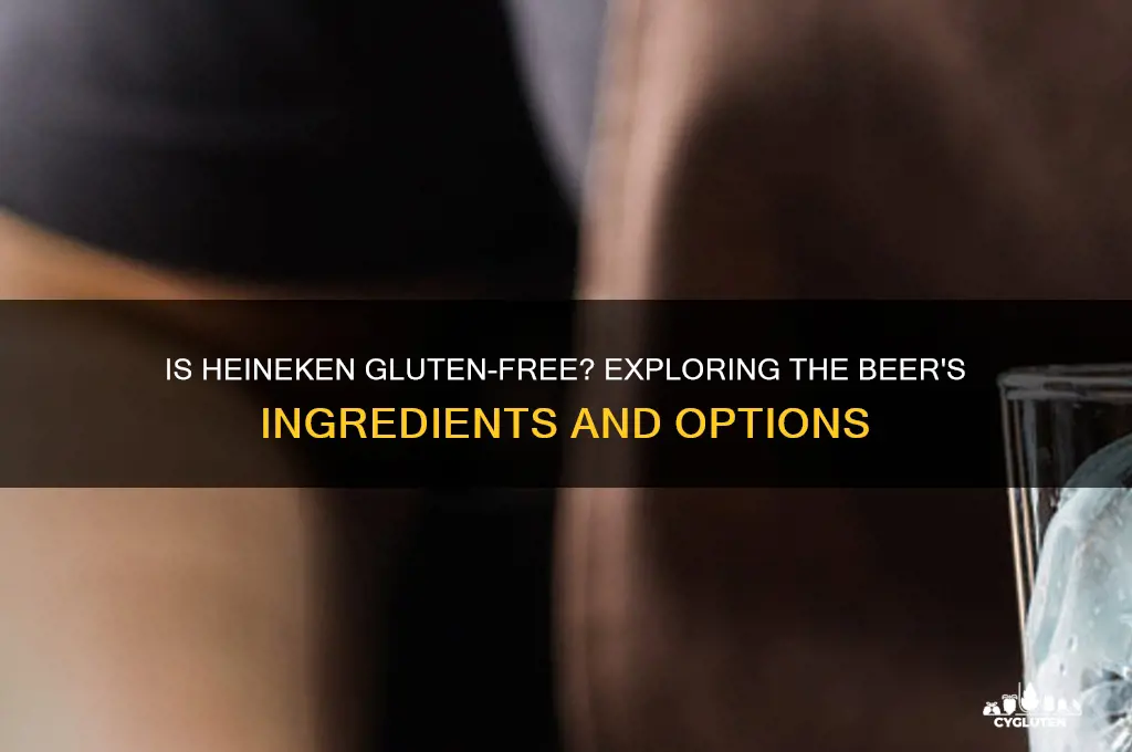 is hienekin gluten free