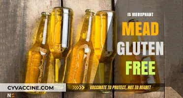 Is Hierophant Mead Gluten-Free? A Complete Guide for Drinkers