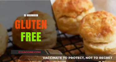 Is High Noon Gluten-Free? Exploring the Ingredients and Safety