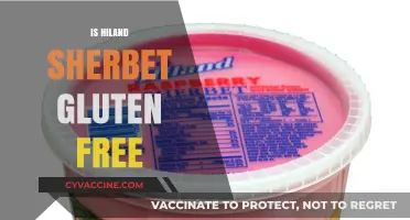 Is Hiland Sherbet Gluten-Free? A Complete Guide for Dietary Needs