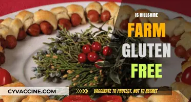 Is Hillshire Farm Gluten-Free? A Comprehensive Guide to Their Products