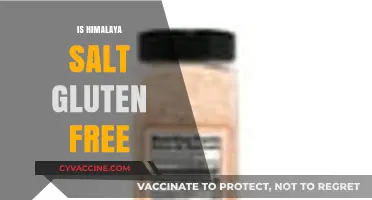 Is Himalayan Salt Gluten-Free? A Complete Guide for Celiac Diets