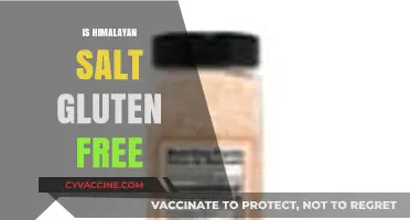 Is Himalayan Salt Gluten-Free? Uncovering the Truth for Celiac Diets