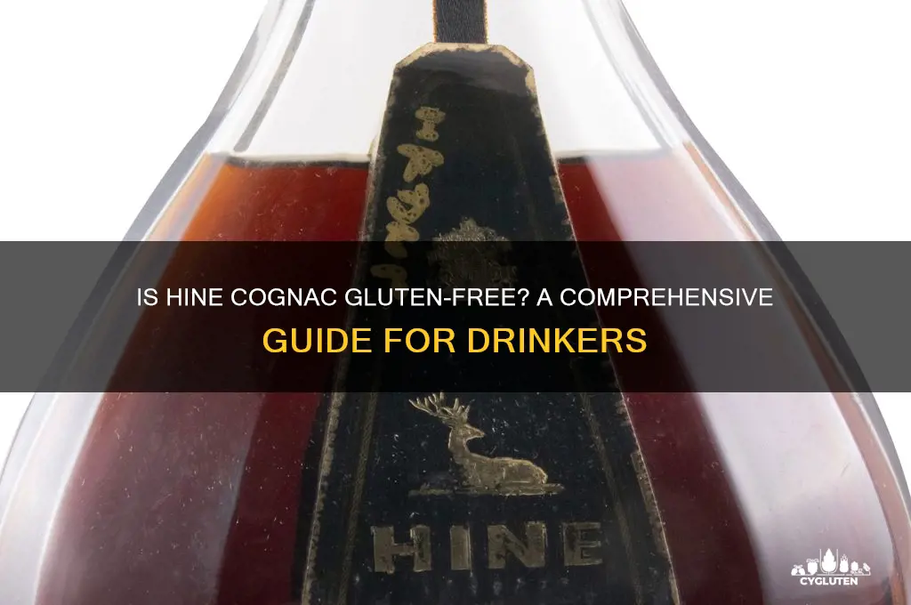is hine cognac gluten free