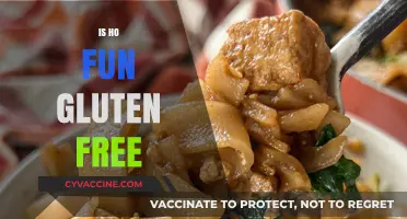 Is Ho Fun Gluten Free? A Complete Guide to Rice Noodles