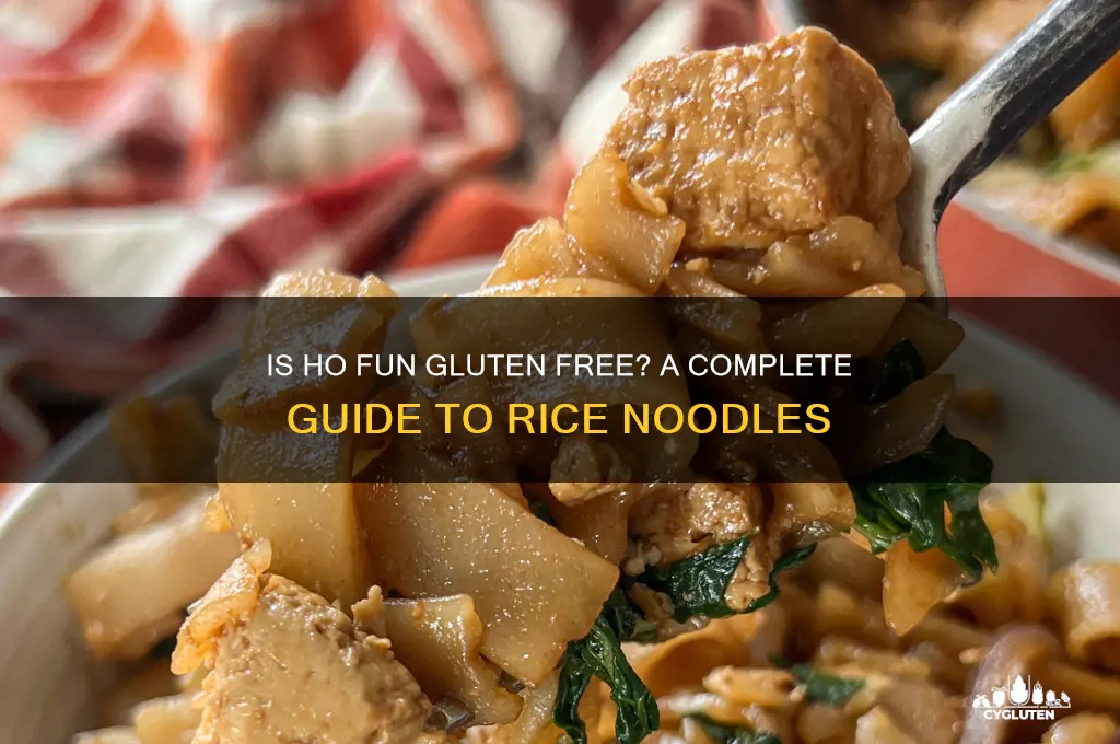 is ho fun gluten free