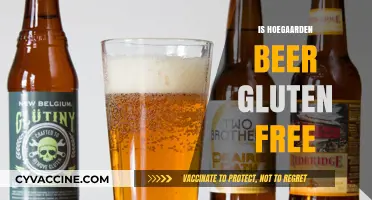 Is Hoegaarden Beer Gluten-Free? A Detailed Guide for Beer Lovers