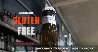 Is Hoegaarden Gluten-Free? Exploring the Beer's Ingredients and Safety