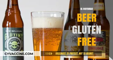 Is Hofbrau Beer Gluten-Free? Exploring Options for Celiac Drinkers